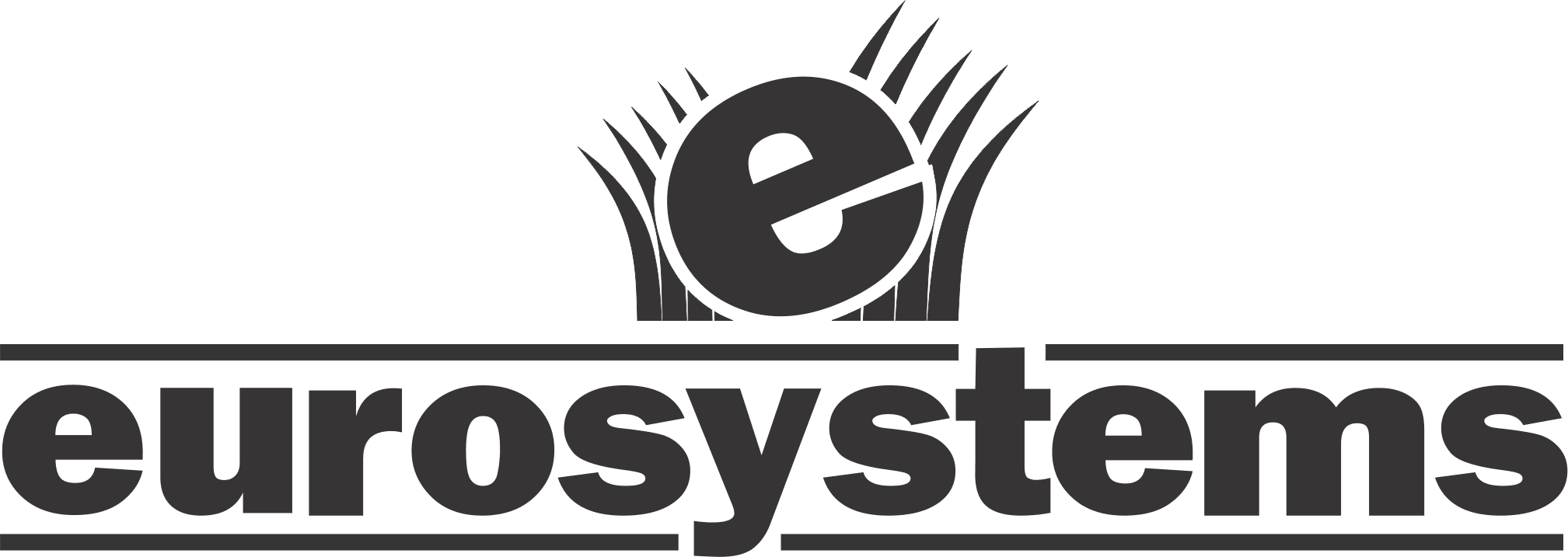 euro logo
